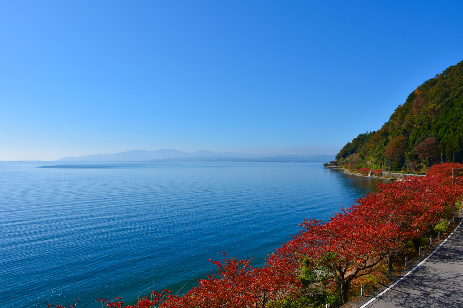 Welcome to Shiga